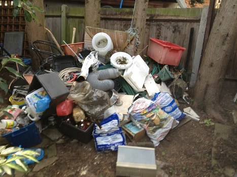 Team members conducting garden clearance in Forestgate