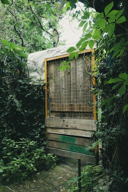 A narrow outdoor pathway bordered by a tall wooden fence on the left and dense green foliage on the right. The path is covered with grass and dirt, with some scattered fallen leaves. On the right side